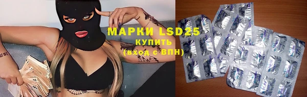 стаф Абинск
