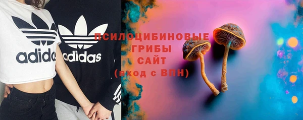 2c-b Саяногорск