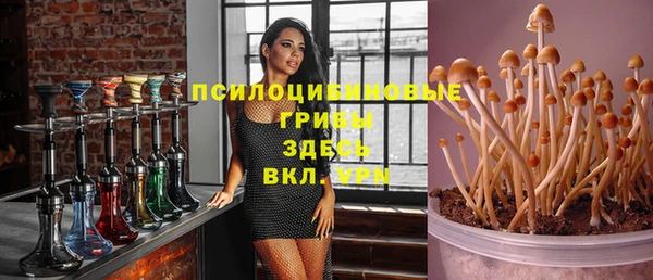 гидропоника Сафоново