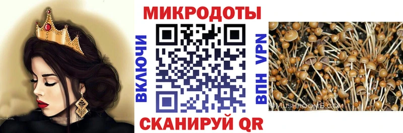 Галлюциногенные грибы мухоморы  купить наркотики цена  кракен ссылки  Балахна 